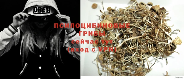 прущий лед Алексеевка